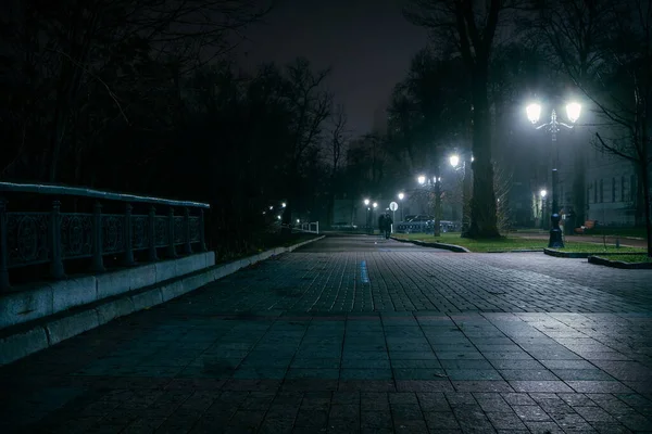 Alley Night Early Winter Park Light Fog Footpath Fabulous Late — стоковое фото