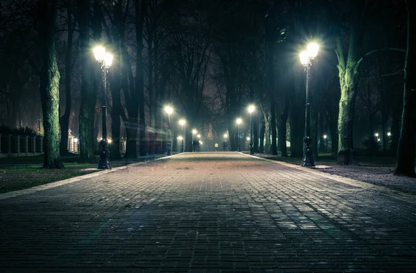 Alley Night Early Winter Park Light Fog Footpath Fabulous Late — Zdjęcie stockowe