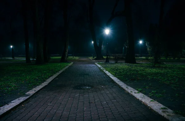 Alley Night Early Winter Park Light Fog Footpath Fabulous Late — Stock fotografie