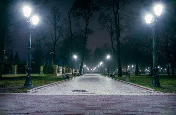 Alley Night Early Winter Park Light Fog Footpath Fabulous Late — стокове фото