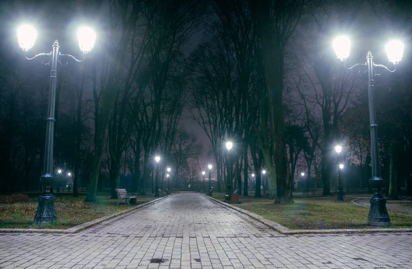 Alley Night Early Winter Park Light Fog Footpath Fabulous Late — стокове фото