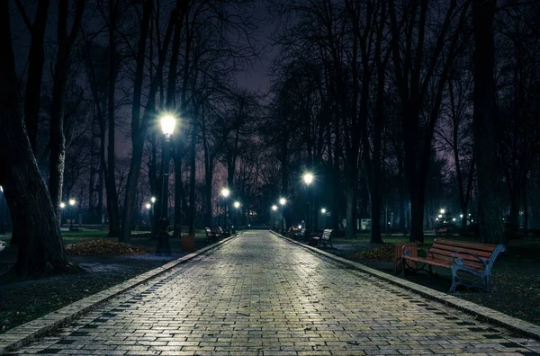 Hafif sisli bir kış parkının ana caddesi. Gece yarısı muhteşem bir sonbahar şehir parkında, banklar ve sonrakilerle dolu bir patika. Mariinsky Park 'ta güzel soğuk bir akşam. Kyiv, Ukrayna.