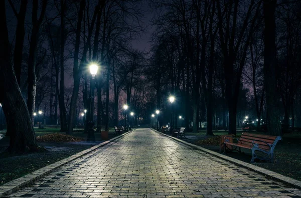 Ruelle Principale Parc Hiver Début Nuit Dans Brouillard Léger Sentier — Photo