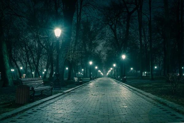 Hafif Sisli Bir Kış Parkının Ana Caddesi Gece Yarısı Muhteşem — Stok fotoğraf