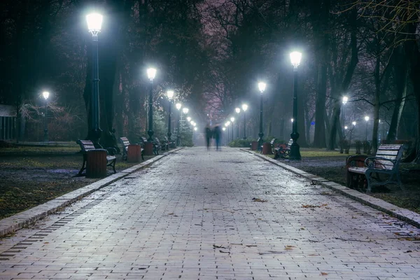 Hafif sisli bir kış parkının ana caddesi. Gece yarısı muhteşem bir sonbahar şehir parkında, banklar ve sonrakilerle dolu bir patika. Mariinsky Park 'ta güzel soğuk bir akşam. Kyiv, Ukrayna.