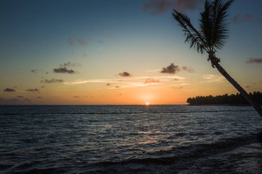 Denizde güzel bir gün doğumu. Atlantik Okyanusu 'nda şafak vakti. Güneş, denize yansıyor. Doğan güneşin arka planında palmiye ağaçları. Tropik gün doğumu. Dominik Cumhuriyeti