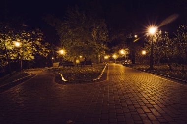 Sonbaharda fenerlerle dolu gece parkındaki sarp yol. Sonbahar sezonu boyunca parktaki banklar. Geceleri fenerlerle dolu bir parkın aydınlanması. Mariinsky Parkı. Kyiv