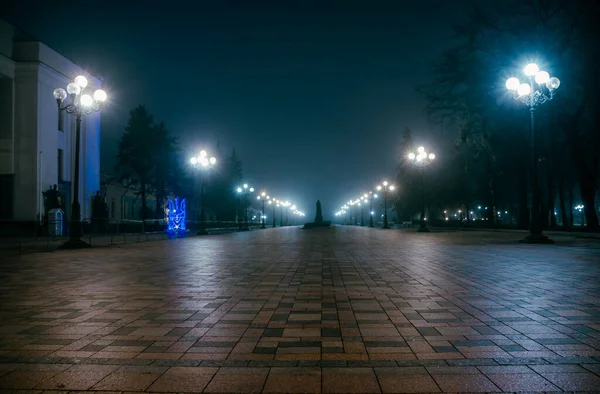 光霧の中で夜の初冬公園のメイン路地 ベンチや旋盤で夜に素晴らしい晩秋の都市公園の歩道 マリリンスキー公園で美しい寒い夜 ウクライナのキエフ — ストック写真