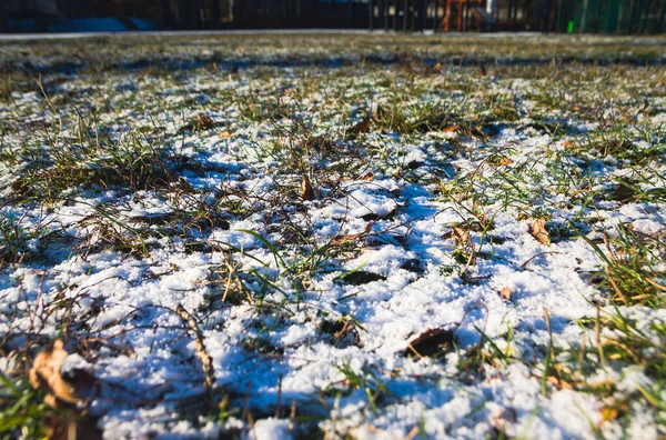 寒冷季节的草地上结霜了 春天在雪下的草丛 草地上的石灰特写 晚秋或早冬景观 — 图库照片
