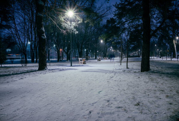The snowy roads in the night park with lanterns in the winter. Benches in the park during the winter season at night. Illumination of a park road with lanterns at night. Snow on trees. Park Kyoto