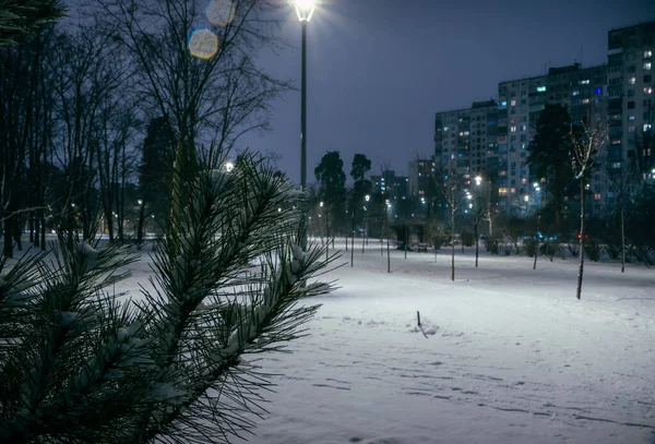 Śnieżne Drogi Parku Nocnym Latarniami Zimie Ławki Parku Sezonie Zimowym — Zdjęcie stockowe