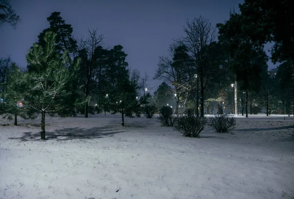 Die Verschneiten Straßen Nachtpark Mit Laternen Winter Bänke Park Während — Stockfoto
