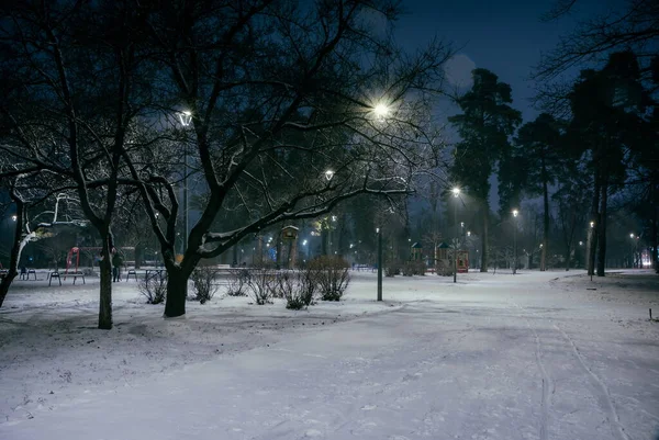 Śnieżne Drogi Parku Nocnym Latarniami Zimie Ławki Parku Sezonie Zimowym — Zdjęcie stockowe