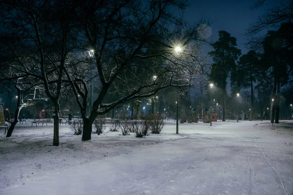 Śnieżne Drogi Parku Nocnym Latarniami Zimie Ławki Parku Sezonie Zimowym — Zdjęcie stockowe