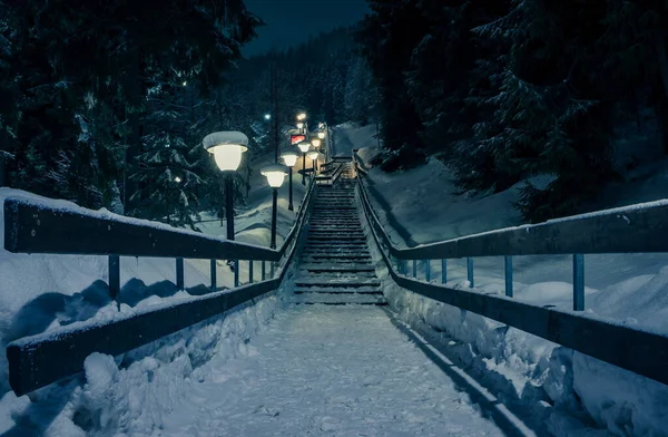 Night view with snowy stairs. Snow-covered staircase with illumination at night in the mountains. Christmas trees covered with snow around the stairs. Carpathians. Bukovel. Ukraine