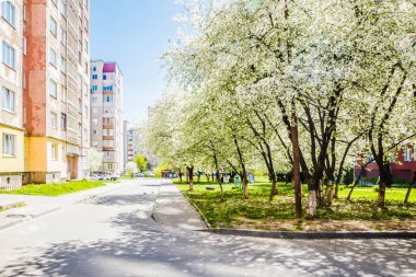 Sokağın karşısında gökdelenler ve kiraz çiçekleri var. Çiçek açan kiraz çiçekli yol manzarası. Şehrin bakımlı bir bölgesinde uyuma alanı ve kiraz çiçekleri.