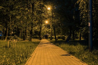 Yaz Gecesi Şehir Parkı. Tahta banklar, sokak lambaları ve yeşil ağaçlar. Gece parkındaki fayanslı yolda fenerler vardı. Geceleri fenerlerle dolu bir parkın aydınlanması. Lutsk