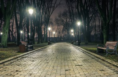 Hafif sisli bir sonbahar parkının arka sokağında. Gece yarısı muhteşem bir sonbahar şehir parkında, banklar ve sonrakilerle dolu bir patika. Mariinsky Park 'ta güzel soğuk bir akşam. Kyiv, Ukrayna.