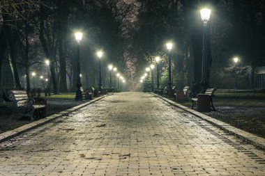 Hafif sisli bir sonbahar parkının arka sokağında. Gece yarısı muhteşem bir sonbahar şehir parkında, banklar ve sonrakilerle dolu bir patika. Mariinsky Park 'ta güzel soğuk bir akşam. Kyiv, Ukrayna.