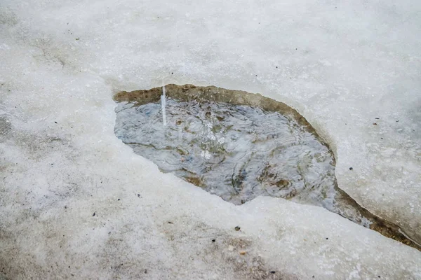 Derreter Neve Gotas Água Caem Uma Poça Neve Uma Pequena — Fotografia de Stock