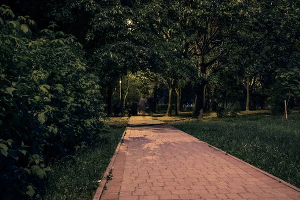 Sommernächtlicher Stadtpark Holzbänke Straßenlaternen Und Grüne Bäume Die Geflieste Straße — Stockfoto