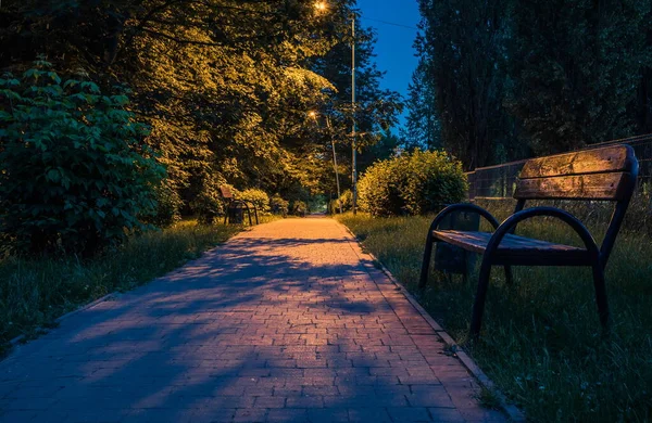 Yaz Gecesi Şehir Parkı Tahta Banklar Sokak Lambaları Yeşil Ağaçlar — Stok fotoğraf