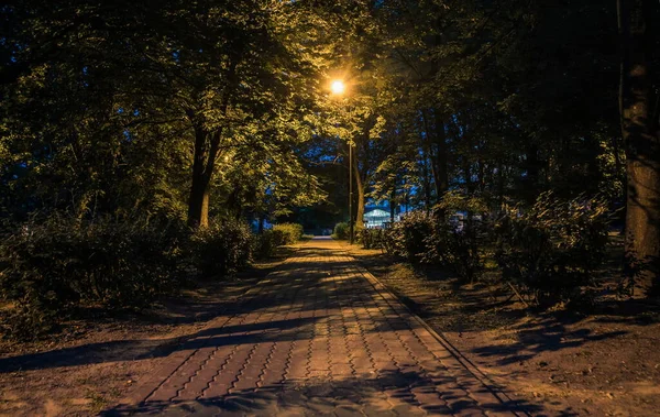 夏夜城公园 木制长椅 街灯和绿树 夜间公园里铺满了灯笼的小路上 夜晚点着灯笼的公园路上的灯光 卢茨克 — 图库照片
