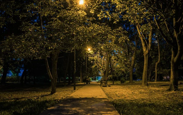 Summer night city park. Wooden benches, street lights, and green trees. The tiled road in the night park with lanterns. Illumination of a park road with lanterns at night. Lutsk