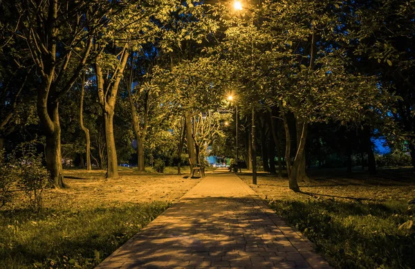 Letni Park Nocny Drewniane Ławki Światła Uliczne Zielone Drzewa Droga — Zdjęcie stockowe