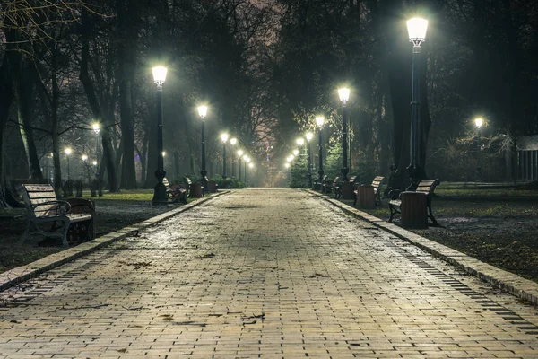 Egy Éjszakai Őszi Park Sikátora Egy Könnyű Ködben Lábnyom Egy — Stock Fotó