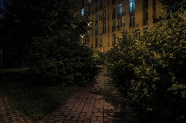 Night park paths and colored houses at summer night. Night paths, benches and lanterns in a beautiful residential complex. Night summer park with lanterns and benches. Kyiv. Ukraine