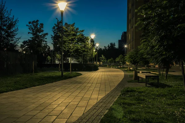 Night Park Paths Colored Houses Summer Night Night Paths Benches Ліцензійні Стокові Зображення