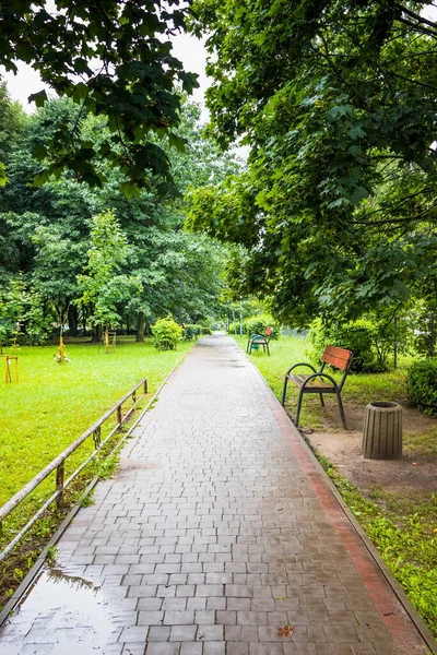 Bench in a path after the rain stops. Summer park with wooden benches after rain. Green park after rain with red benches