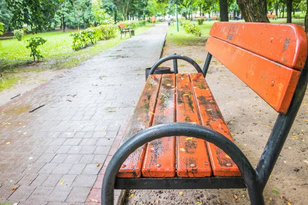 Bench in a path after the rain stops. Summer park with wooden benches after rain. Green park after rain with red benches