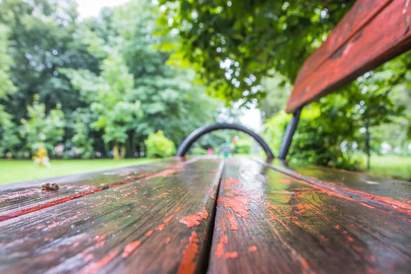 Bench in a path after the rain stops. Summer park with wooden benches after rain. Green park after rain with red benches