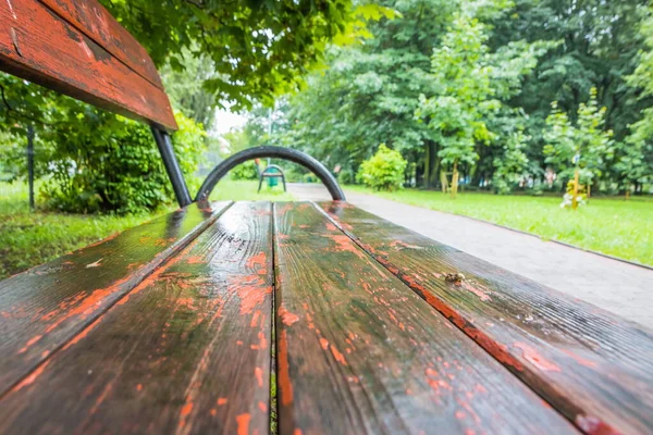 Bench Path Rain Stops Summer Park Wooden Benches Rain Green — Fotografia de Stock