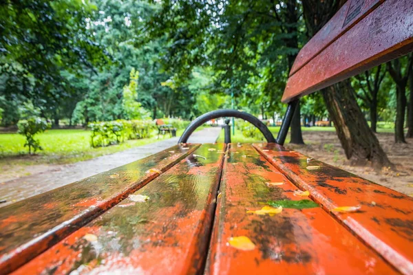 Bench in a path after the rain stops. Summer park with wooden benches after rain. Green park after rain with red benches