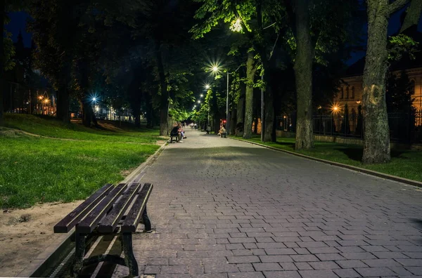 Summer night city park. Wooden benches, street lights, and green trees. The tiled road in the night park with lanterns. Illumination of a park road with lanterns at night. Lviv