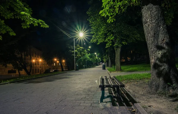 Summer night city park. Wooden benches, street lights, and green trees. The tiled road in the night park with lanterns. Illumination of a park road with lanterns at night. Lviv