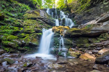 İnanılmaz güneşli yaz manzarası, Karpatya dağlarında güzel Shypit şelalesi, dağlardaki ormanlarda çok aşamalı şelale. Duvar kağıdı veya örtü için uygun doğa yolculuğu arka planı.