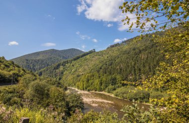 Yazın güneşli bir günde ağaçlık dağlarda nehir. Dağlar arasında akan küçük bir nehir. Dağlarda yeşil Noel ağaçları ve küçük bir nehir. Karpatlar. Ukrayna.
