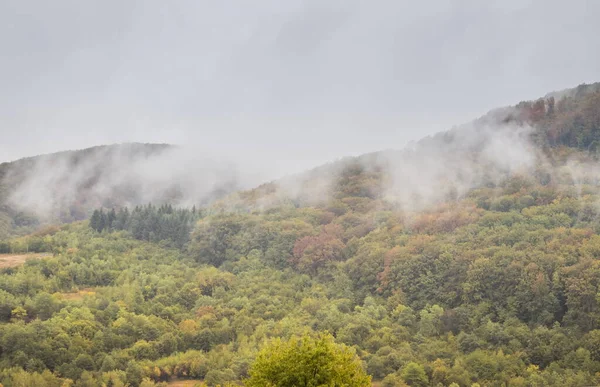 Mountain Slope Deciduous Forest Fog Mountain Slope Cloudy Overcast Morning — Stock Photo, Image