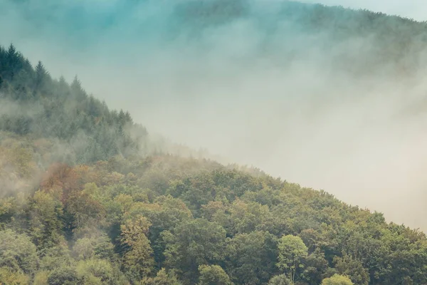 Mountain slope with deciduous forest in fog. Mountain slope on a cloudy overcast morning. Misty mountains in summer. Beautiful cloudy morning in the mountains. Carpathians. Ukraine