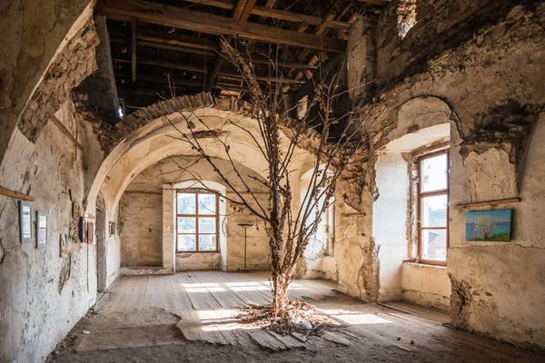 2022年9月9日 内部房地 在旧城堡房间中间的一棵树 奇纳迪耶夫城堡 Chinadiyev Castle Saint Miklos 是一座14 19世纪的建筑纪念碑 — 图库照片