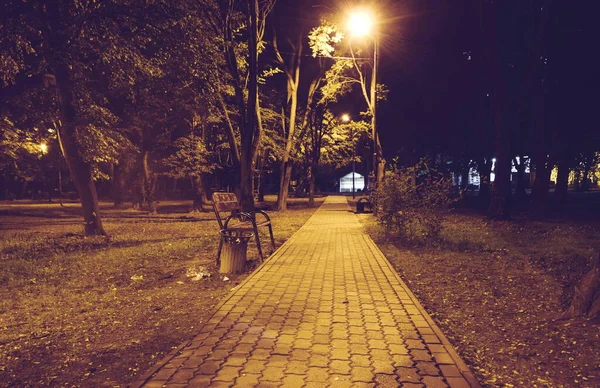 Noche Verano Parque Ciudad Bancos Madera Farolas Árboles Verdes Camino —  Fotos de Stock