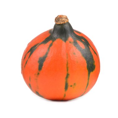 Beyaz arkaplanda izole edilmiş küçük sarı balkabağı