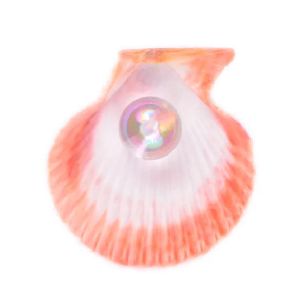 Seashell med pearl isolerad på vit bakgrund — Stockfoto