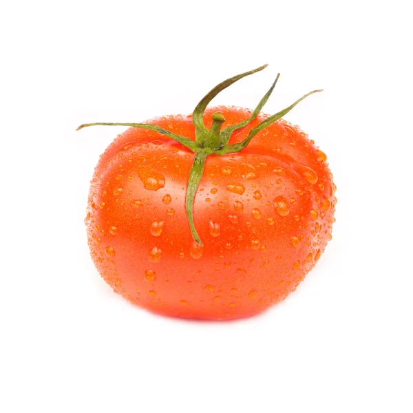 Tomate isoliert auf weißem Hintergrund — Stockfoto