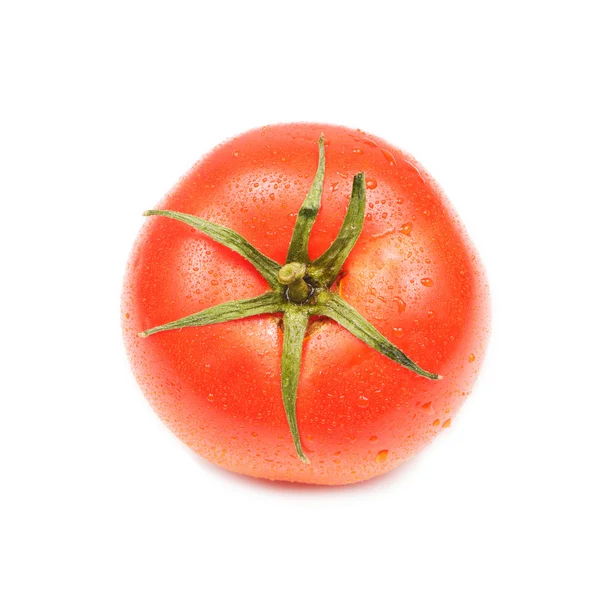 Tomate isoliert auf weißem Hintergrund — Stockfoto