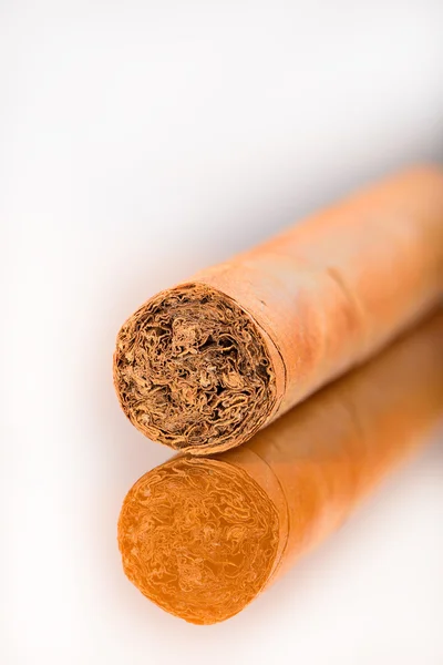 Cigarro cubano aislado sobre fondo blanco — Foto de Stock